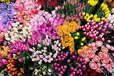 沙盒冒险游戏 《百变大脑亨利》9月16日发售