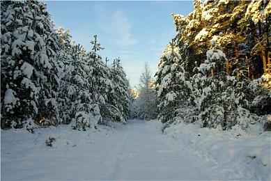 《巫师3》任务为何如此出众？CDPR：90%的提议都被拒绝了